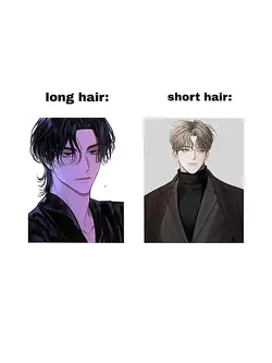 longhairvsshorthair