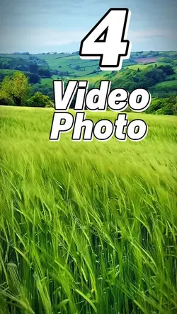 4 clip or photo 