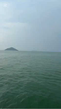 Mountain Sea 🌊