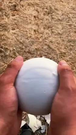 colored ball