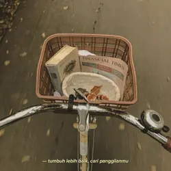 Tumbuh lebih baik ca