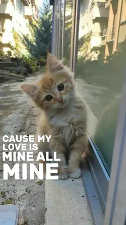 My Love Is Mine.🤍