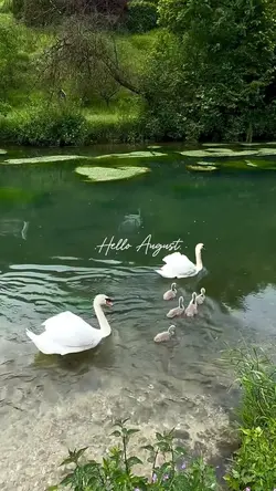 Hello August 