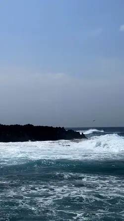I love ocean do you?