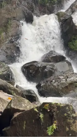 Curug