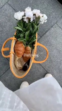 Daily vlog