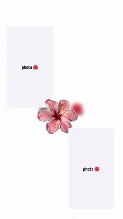 Fleur 🌺 
