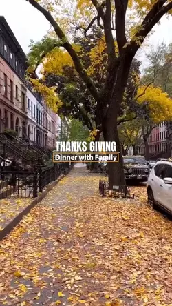 Thanks giving dinner