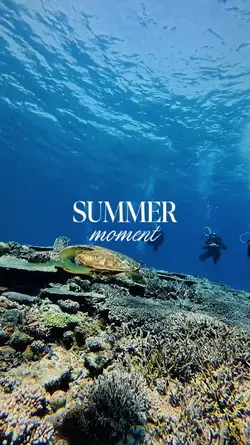 summer moment