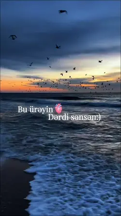 Şablon Viral…