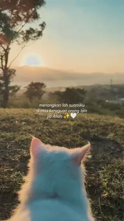 menangkanlah suamiku