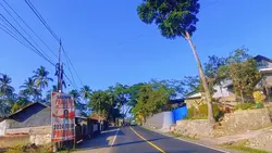 landscape video