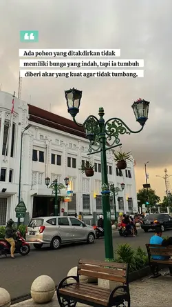 Story WA 
