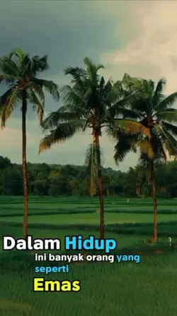 Motivasi Kehidupan