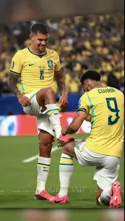 Brazil win