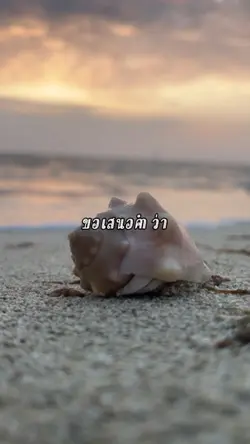 วลีเด็ดวันนี้