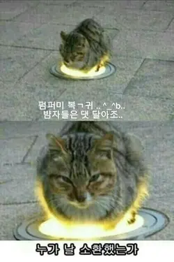 복귀