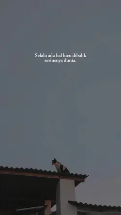 story wa