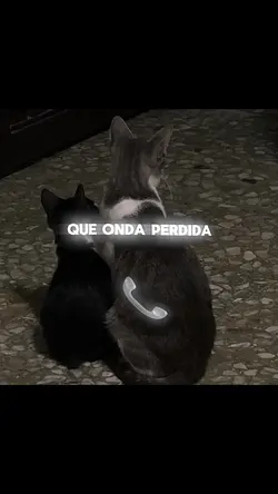 Que onda perdida