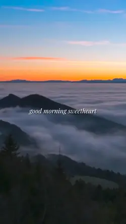 Good morning ❤️