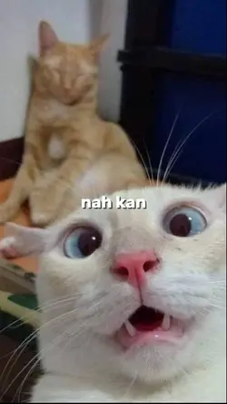 seninlagi