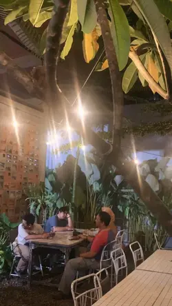 Live Music