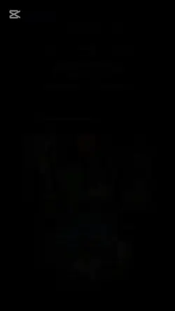 tiktok profile video