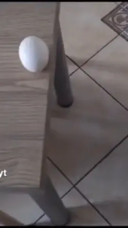 صباح الخير 