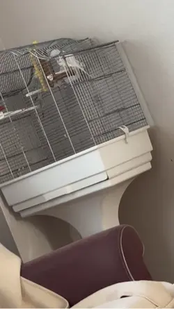 :(