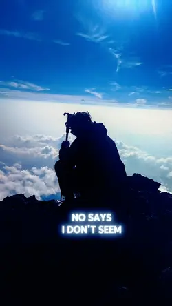 no says I don't seem
