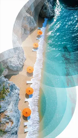 Travel template tran