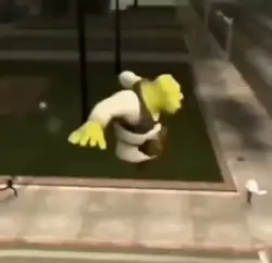 Shrek dance