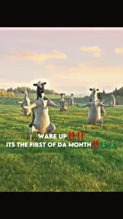 wake up