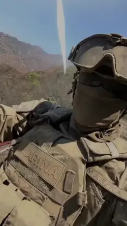 Fuerzas armadas 