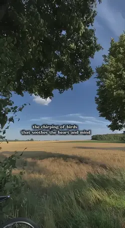 the chirping of bird