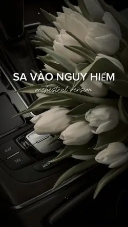 [1] SA VÀO NGUY HIỂM