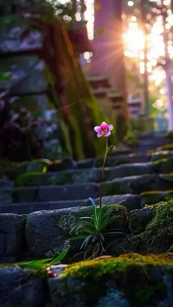 cinematic alone 