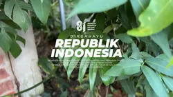 CINEMATIC HUT RI 🇲🇨