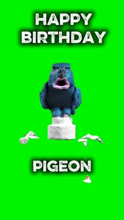 HBD PIGEON SLOP