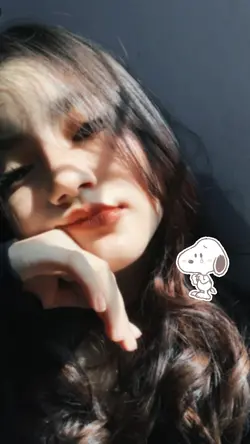 use | snoopy