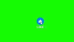 notification 4 ²⁹