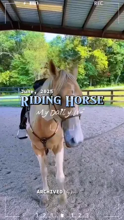 RIDING HORSE