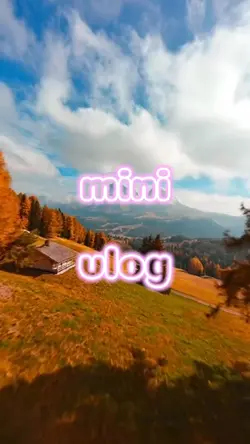 Mini Vlog