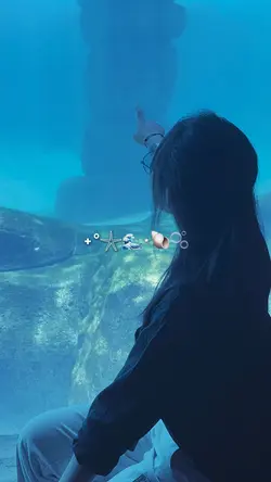Aquarium Vibes