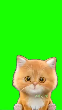 kucing nyanyi 