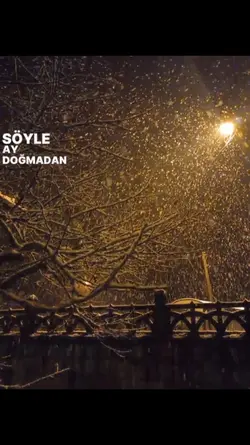 Dışarda kar yağıyor 