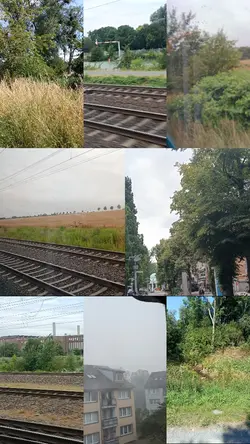 Foto Collage 
