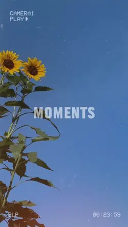 Moments