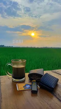 spil foto sawah