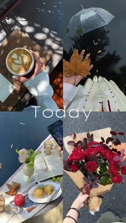 mini vlog